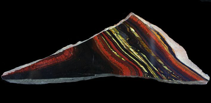 Polished Tiger Iron Stromatolite - ( Billion Years) #65525